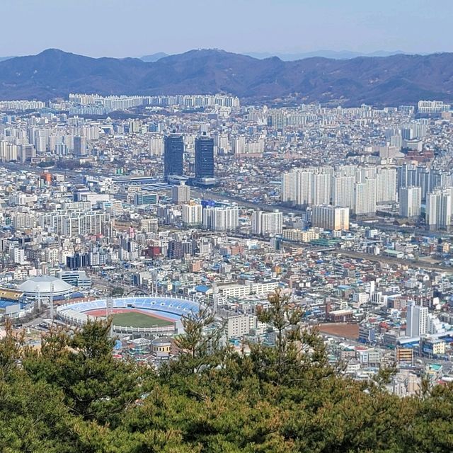 두근두근여름휴가 대전의 인기 산 보문산 등산