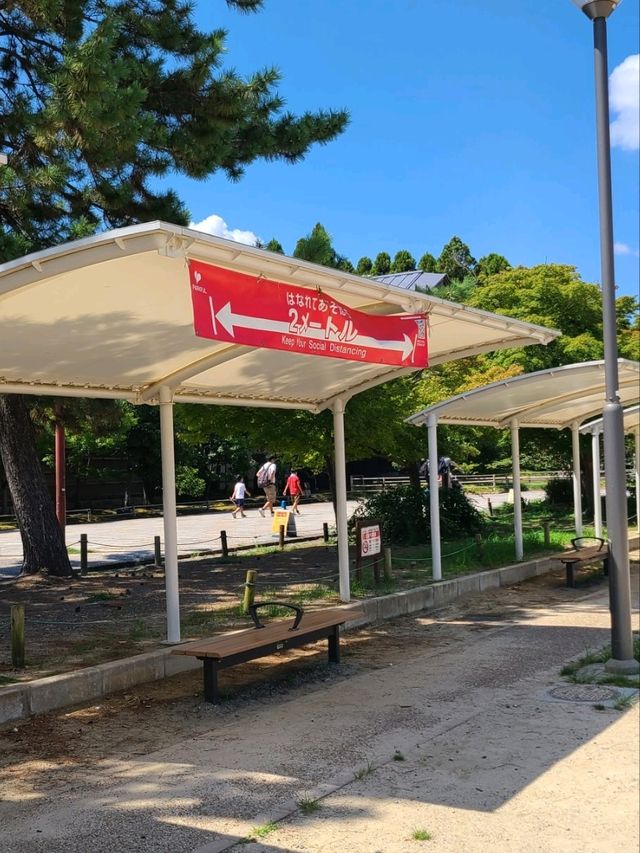 【京都】梅小路公園とすざくゆめ広場