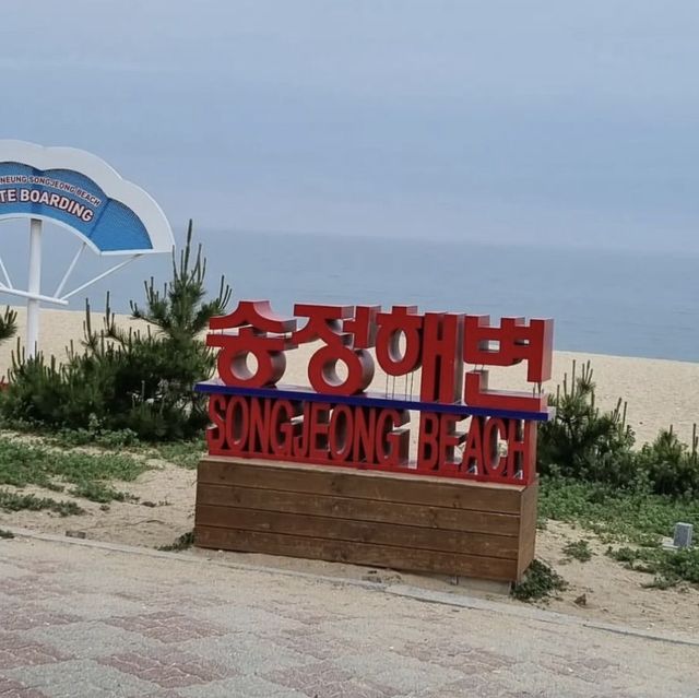 🌊 강릉의 푸르름, 파란 바다의 송정해변에서 힐링을