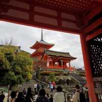 Kyoto's Serene Architectural Beauty & Nature