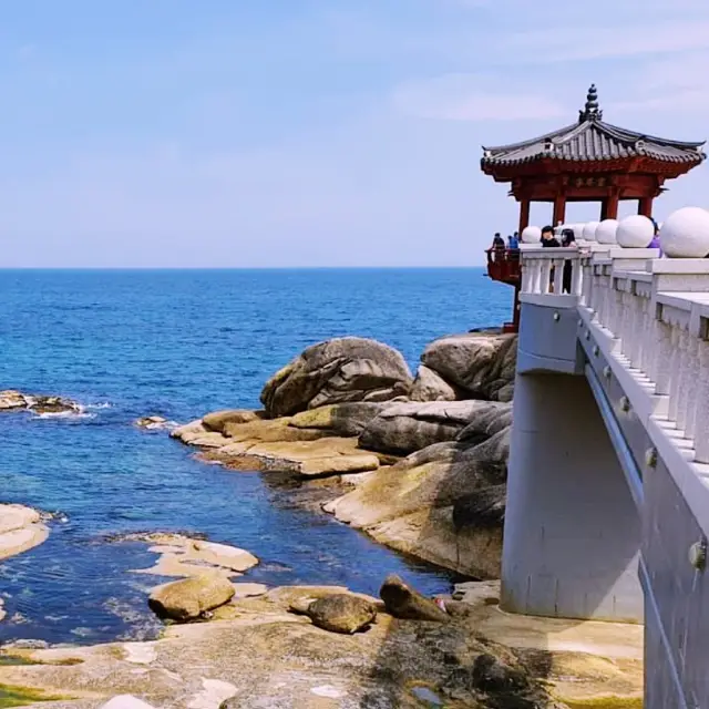 🌊속초 동명항을 지키는 에너지넘치는 정자 영금정