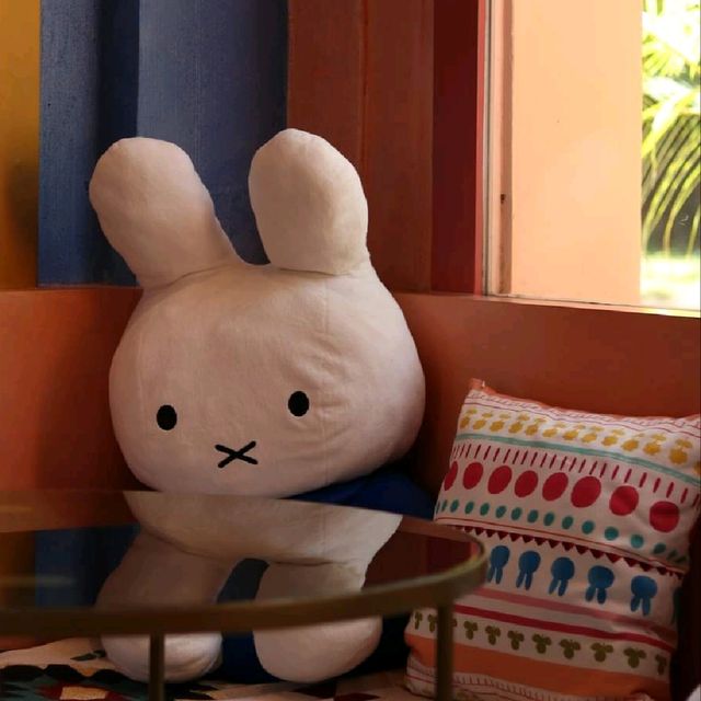 คาเฟ่น่ารัก🐰🐰ผ่านมาต้องแวะสายตะมุตะมิไม่ควรพลาด