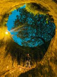 จุดถ่ายรูปยอดฮิต ปักหมุด Fort Canning Tree Tunnel
