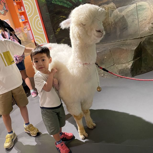 珠海好玩室內動物園