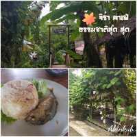 คาเฟ่บรรยากาศสวนมะพร้าว