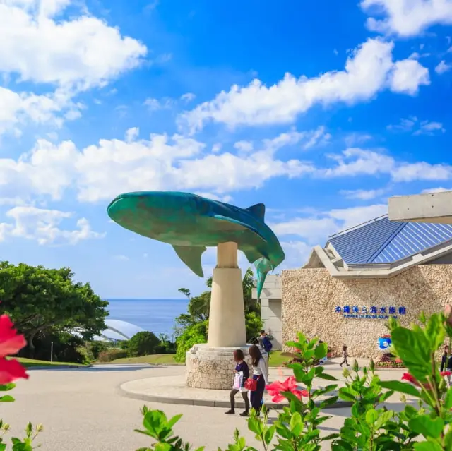 沖繩美麗海水族館ㄧ迷你的海洋