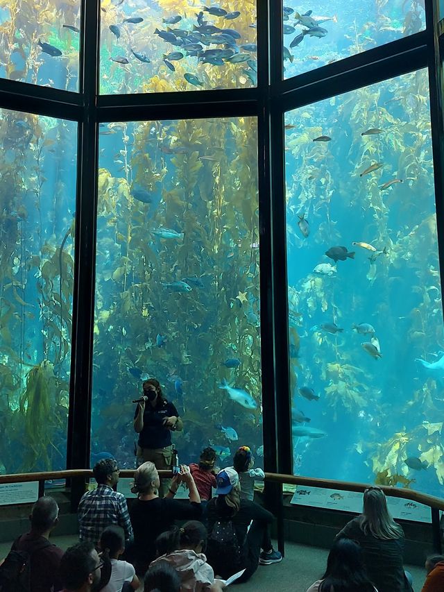 Monterey Bay Aquarium 