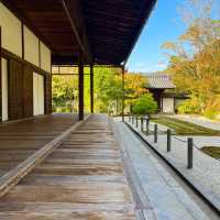 京都南禪寺🙏🏻禪修之旅中的和諧花園 🍵🌸