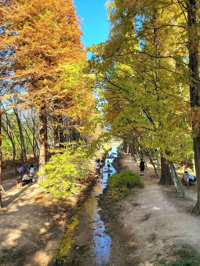 변함없이 아름다운 경주의 가을🍁🍂