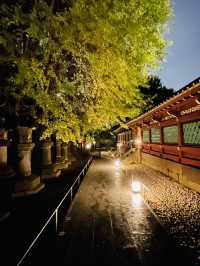 【東京都/上野東照宮】夢叶う光の夜