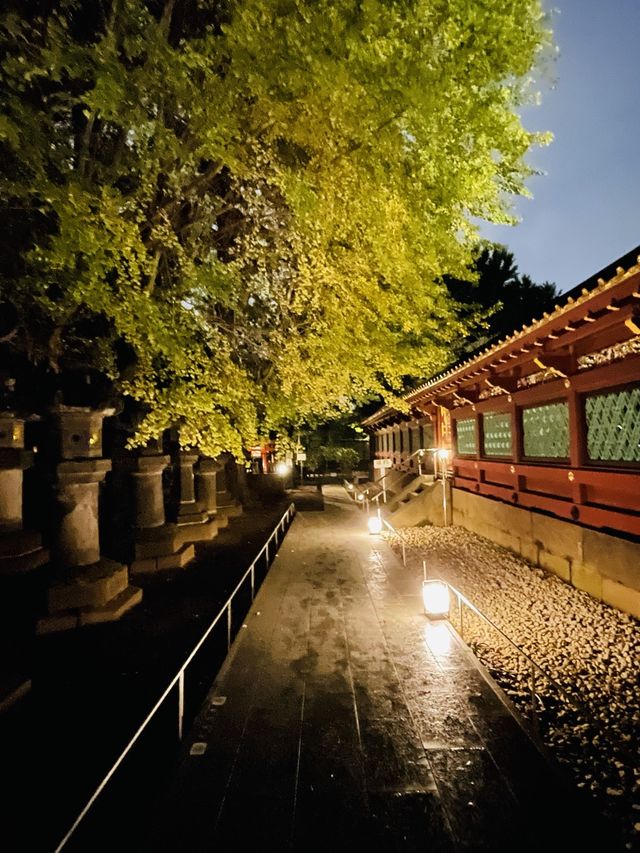 【東京都/上野東照宮】夢叶う光の夜