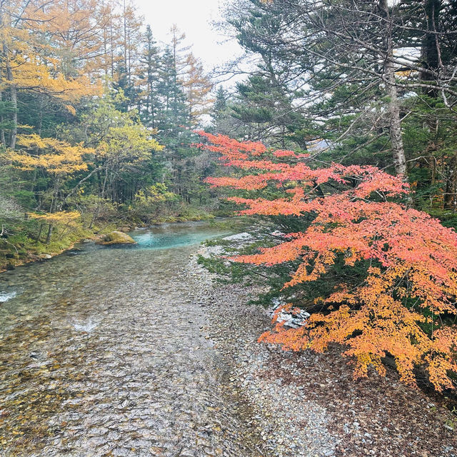 神明降臨之地 上高地