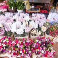 Unique Quirky Plants at Mongkok Flower Market