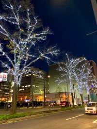 北海道　札幌観光　札幌駅前通りのイルミネーションが綺麗だったよ！
