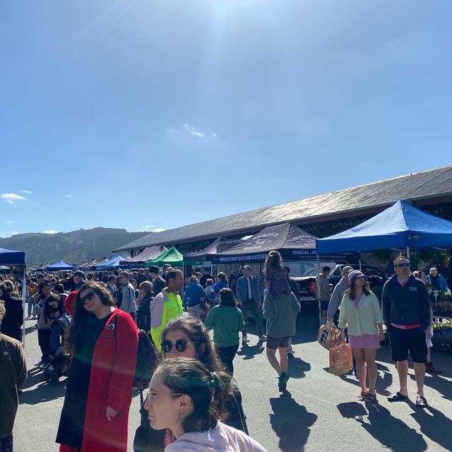 Dunedin Farmers Market 