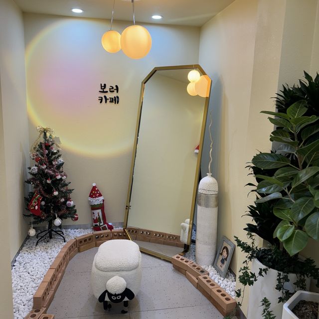 전남화순 대형 애견동반카페, 카페보러