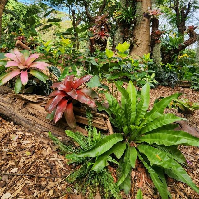 都市中的高登好去處