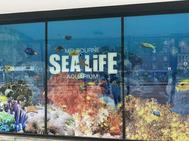 墨爾本水族館初體驗