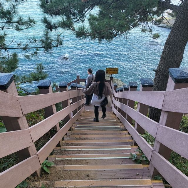 A Scenic Trek Along the Orkyudo Coast