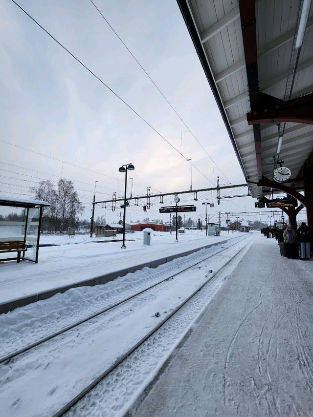 ถึงแล้ว!! Kiruna ดินแดงเเห่งการตามล่าหาแสงเหนือ