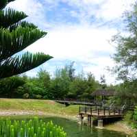 絕美密境~台東森林公園琵琶湖