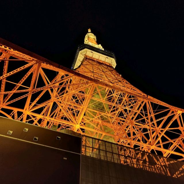 東京鐵塔下的遺憾