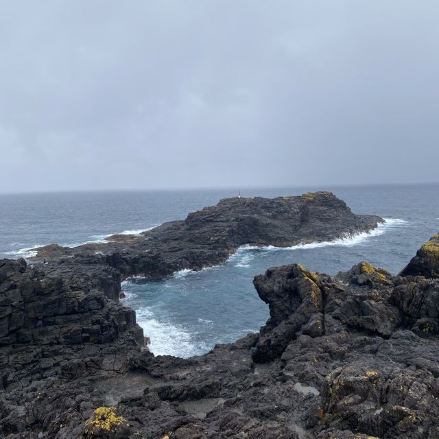 Witness the Natural Wonder