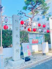 【東京都/桜神宮】正月の余韻残る参拝
