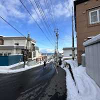 Amazing day trip OTARU CANAL