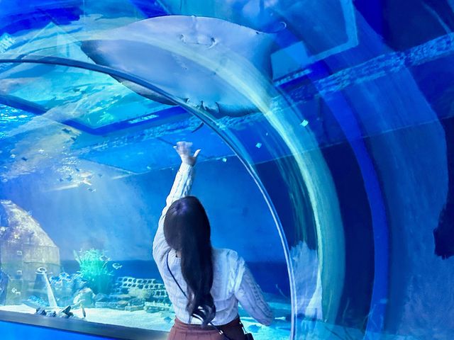 부산에 하나뿐인 아쿠아리움🐳