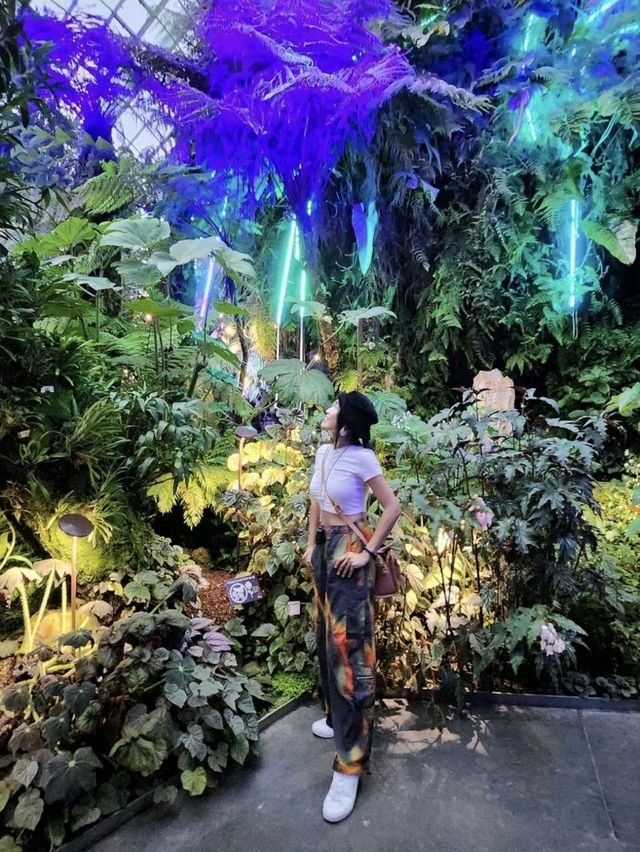 Avatar themed Cloud Forest in Singapore