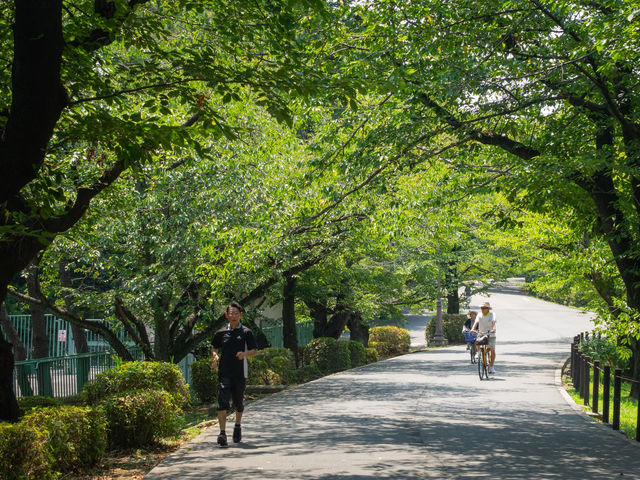 Omiya Park