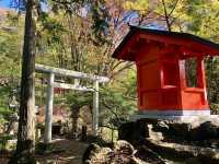 Kuzuryu Shrine