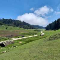 Strawberry Valley 🌸 Kashmir