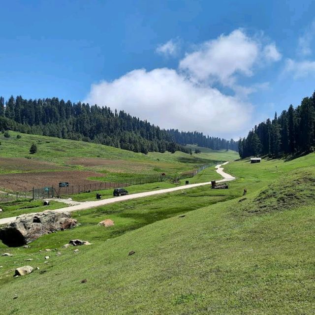 Strawberry Valley 🌸 Kashmir