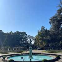 potts point new south wales