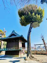 【東京都/稲付香取神社】旧稲付村鎮守・見晴らしの良い神社