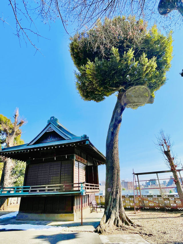 【東京都/稲付香取神社】旧稲付村鎮守・見晴らしの良い神社