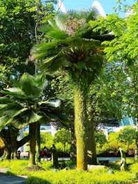 สวนสิงคโปร์สวยๆ Garden by the Bay