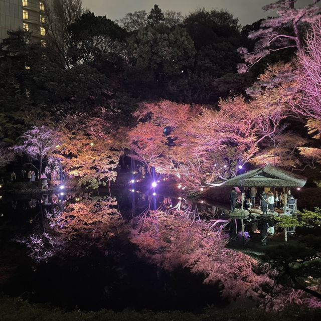 【白金台】八芳園で桜を堪能