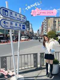 เดินเล่นกินลม ชมซากุระกันค่ะ 🌸🌸🌸