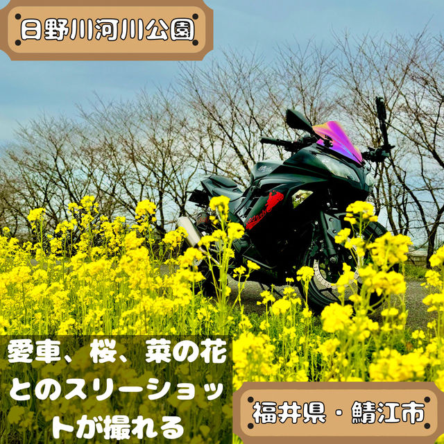 日野川河川公園