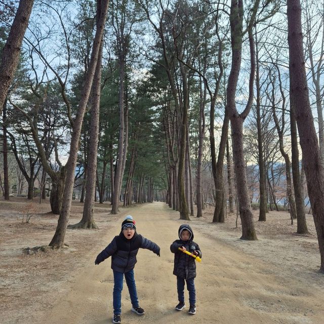 Trip To Nami Island