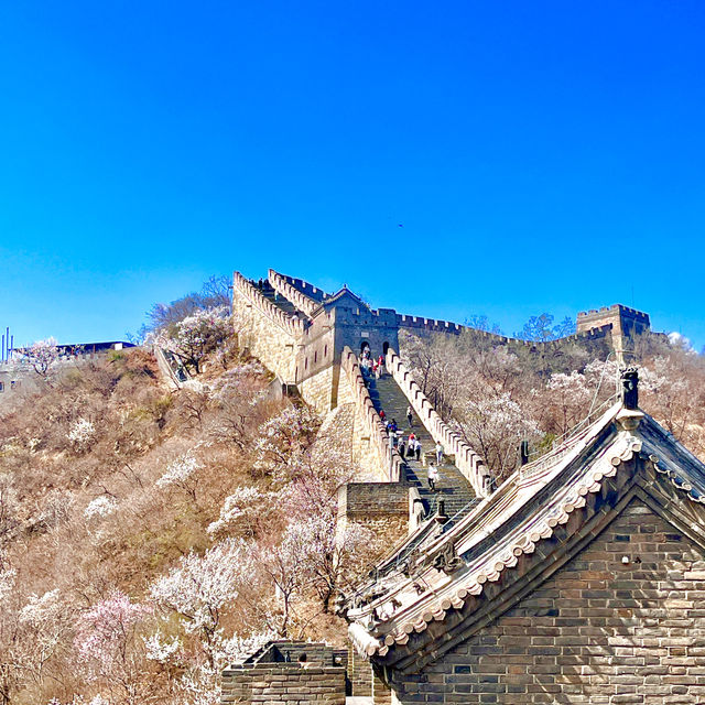 Tips for a perfect day at the Mutianyu Great Wall 🇨🇳
