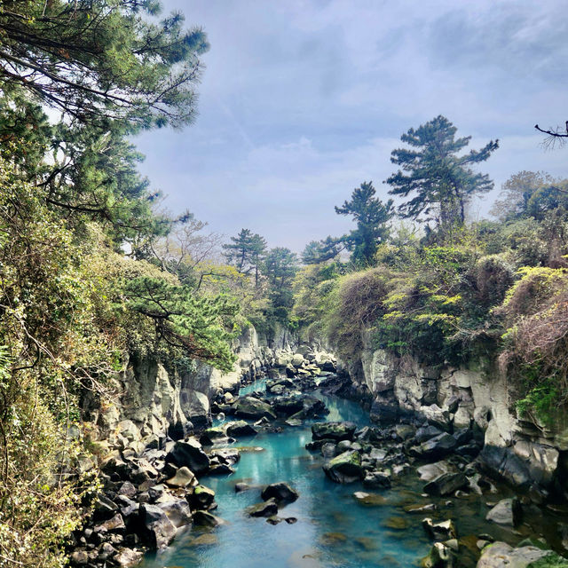 봄에 떠나는 제주여행, 용두암🪨🌼