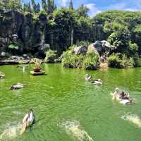 Ragunan Zoo 