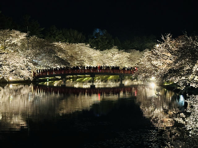 日本東北弘前公園夜櫻點燈 絕美