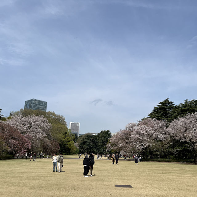 新宿御苑 | 東京市中心的綠洲秘境 🌸