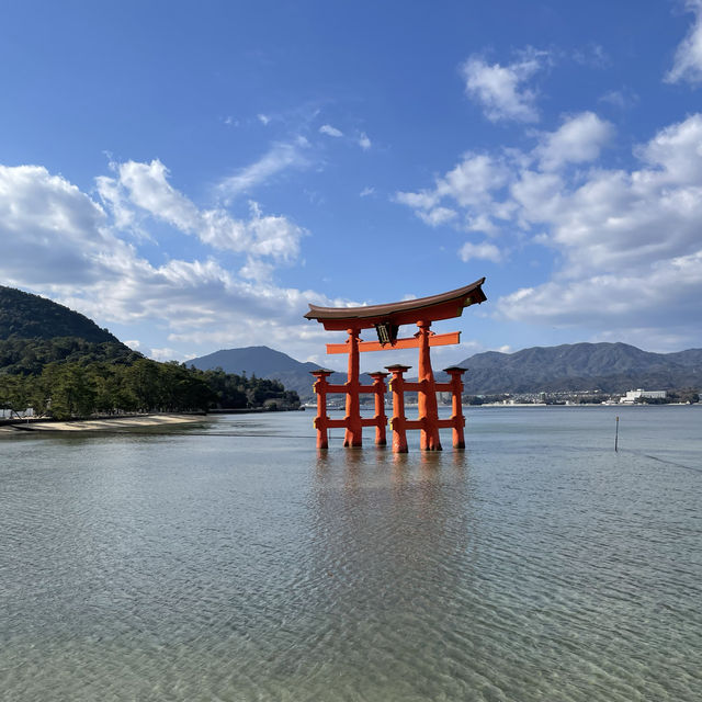 【厳島神社】海上に神秘的に建っている神社⛩️