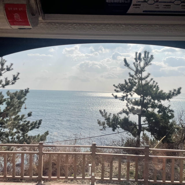 부산 해운대블루라인파크! 바다보며 열차타기!!